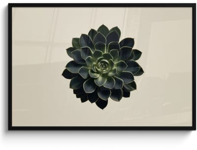 Poster in lijst - Fotolijst 120x80 cm - Posters - Rozet - Cirkelvormig - Donkergroen - Posterlijst zwart - Decoratie - Wanddecoratie woonkamer - Muurdecoratie slaapkamer