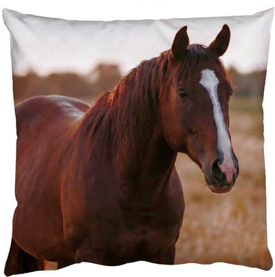 Sierkussens - Kussentjes Woonkamer - 50x50 cm - Paard - Zonsondergang - Bruin