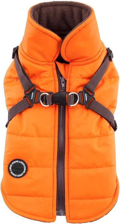 Hondenjas met harnas - Wintervest hond - Warm en veilig - Geïntegreerd harnas - Maat S - Oranje