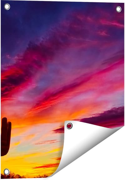 Gards Tuinposter Cactus bij Oranje Zonsondergang - 40x50 cm - Tuindoek - Tuindecoratie - Wanddecoratie buiten - Tuinschilderij