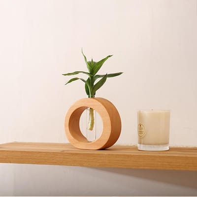 Massief houten woonkamerdecoratie, bloemstuk, mini glazen vaas, transparant hydrocultuur bloem hydrocultuur apparaat