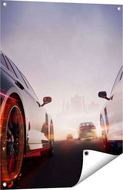 Gards Tuinposter Twee Raceauto's - Blauw Tegen Rood - 60x80 cm - Tuindoek - Tuindecoratie - Wanddecoratie buiten - Tuinschilderij