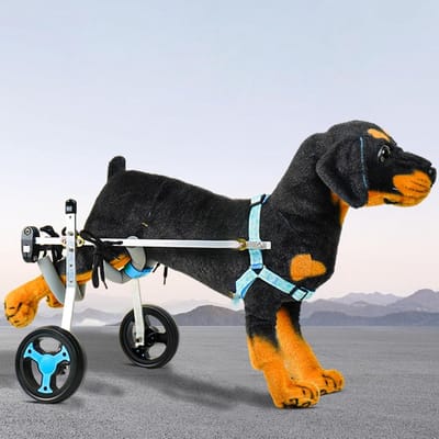 Huisdier Buggy - Hondenwagen - Mobiliteit Hulp - Verstelbaar Ontwerp - Meerdere Maten - Zwart