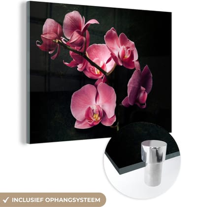 MuchoWow® Glasschilderij 120x90 cm - Schilderij acrylglas - Planten - Orchidee - Bloemen - Roze - Foto op glas - Schilderijen