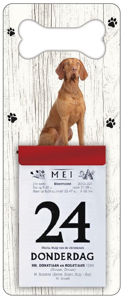 Scheurkalender 2027 Hond: Vizsla Korthaar