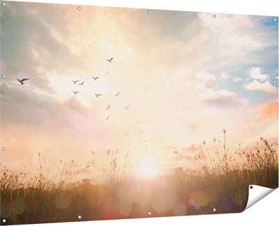 Gards Tuinposter Silhouet Vogels tijdens Zonsopkomst - 180x120 cm - Tuindoek - Tuindecoratie - Wanddecoratie buiten - Tuinschilderij