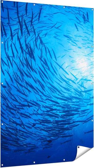 Gards Tuinposter Zwerm Vissen in de Oceaan - 120x180 cm - Tuindoek - Tuindecoratie - Wanddecoratie buiten - Tuinschilderij