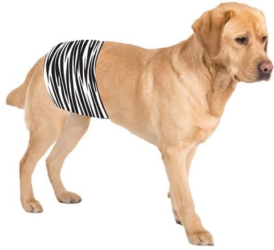 Sharon-B Hondenluier Zebra Maat L - Wasbaar - Verstelbaar 57-63 cm - Bij incontinentie en markering gedrag van reutjes