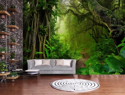 Fotobehang - Jungle - Bos - Bomen - Natuur - Vliesbehang - (368 x 254 cm)