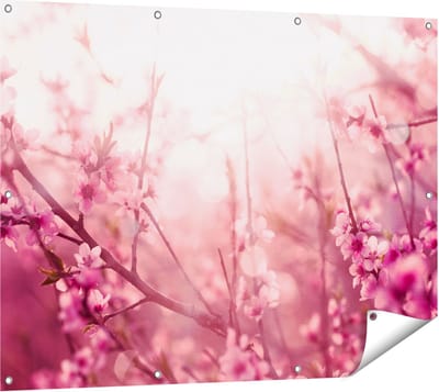 Gards Tuinposter Roze Bloesemboom met Zonneschijn - 120x90 cm - Tuindoek - Tuindecoratie - Wanddecoratie buiten - Tuinschilderij