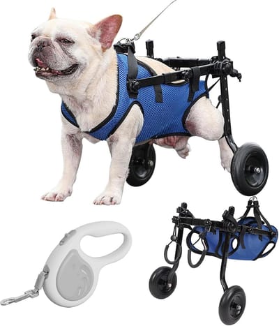 Hondenrolstoel Achterpoten - Huisdier Hulp - Mobiliteit Herstel - Verstelbaar Ontwerp - Klein tot Middel - Blauw