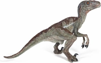 Velociraptor - Dinosaurus