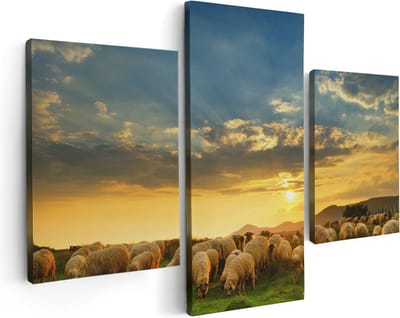 Artaza Canvas Schilderij Drieluik Kudde Schapen op het Gras bij Zonsondergang - 90x60 - Foto Op Canvas - Canvas Print