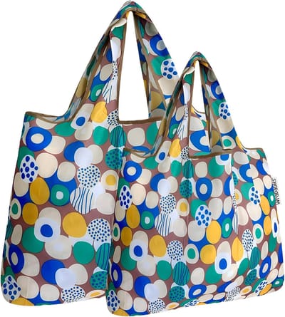 Herbruikbare Opvouwbare Nylon Draagtassen - Set van 2 (Groot en Klein)