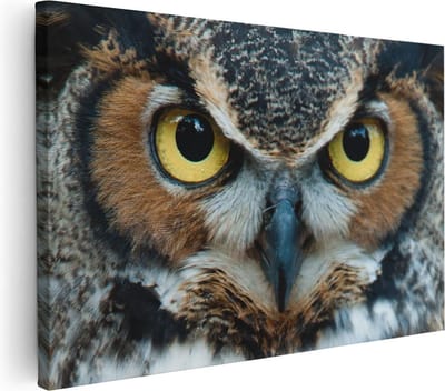 Artaza Canvas Schilderij Dierenkop Uil - 30x20 cm - Klein - Wanddecoratie Woonkamer - Muurdecoratie Vogel - Kamer Accessoires