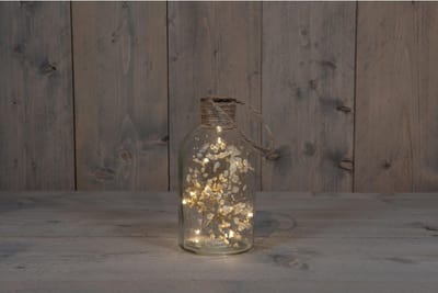 Kerstverlichting - B.o. Fles Glas Met Droogbloem Wit 20x9,5cm / 10led Warm Wit