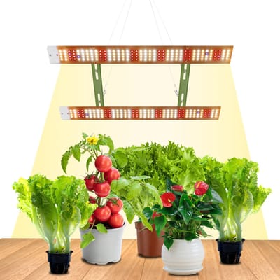 Rosnek LED Plantenlamp - 80W Krachtige LED Plantenlamp - 312LEDs - Volledig Spectrum Kweeklampen - Ultra Helder Full Spectrum voor Binnenplanten - Hoge Planten én Groentenbloei