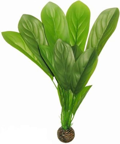Superfish easy plants hoog nr. 8, van plastic 30 cm - 1 ST