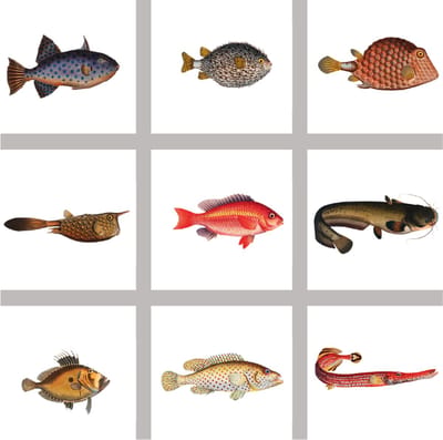 9 stuks 15x15cm tegelstickers vissen transparant - badkamer, keuken en toilet - zelfklevend - peel and stick - decoratiestickers - plakfolie stickers - backsplash