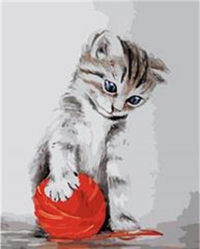 Itz Netherlands - Schilderen op Nummer - Kat Met Het Rode Klosje - 40 x 50 cm