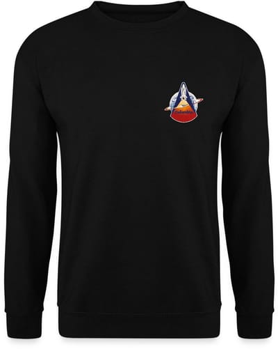 NASA Space Shuttle Columbia Sweater Heren