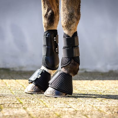Horsegear Springschoenen Horsegear Hgcarbon Mesh Zwart