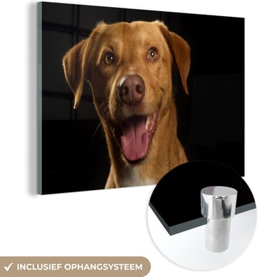 MuchoWow® Glasschilderij 120x80 cm - Schilderij acrylglas - Hond - Huisdieren - Portret - Foto op glas - Schilderijen