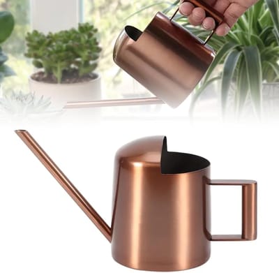 Mini Gieter 300 ml RVS met Lange Hals voor Binnenplanten en Kantoor