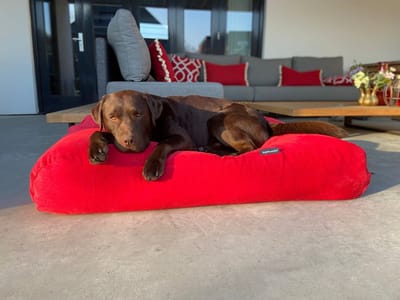 Dog's Companion - Hondenkussen / Hondenbed rood ribcord polyester small - S - 70x50cm