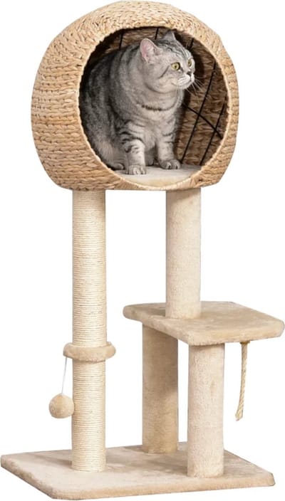 Kattenboom - Katten klimmuur - Complete set - Krabpaal - Huisje - Ladders - Plateaus - Katten klim wand - Krabpaal muur - Klimmuur kat - Krabpaal voor grote katten - Beige