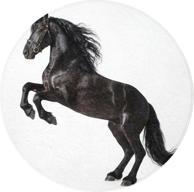WC mat rond 70x70 cm - Antislip - Zwart - Paard - Portret - Toiletmat - Vloermat - Douchemat - Toilet tapijt - Toiletmatten