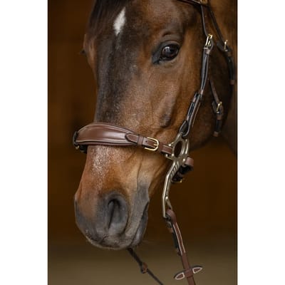 Muserolle voor paard en polsband HFI Hackamore