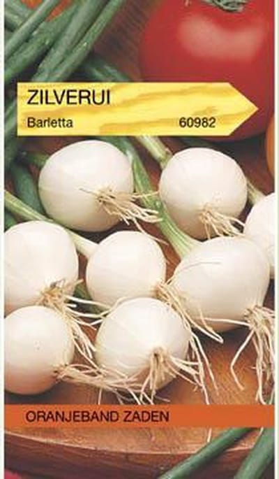 Oranjebandzaden -  Zilverui Barletta