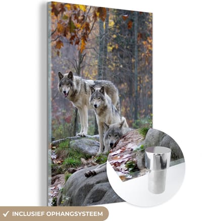 MuchoWow® Glasschilderij 120x180 cm - Schilderij acrylglas - Wolven - Rots - Bos - Foto op glas - Schilderijen
