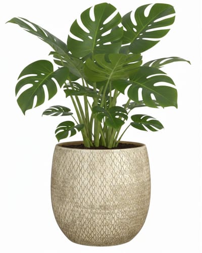 Mica decorations Bloempot / plantenpot Madeira - creme - terracotta - 18 x 18 cm - schubbenpatroon