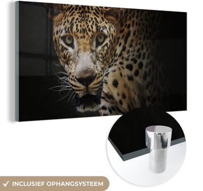 MuchoWow® Glasschilderij 40x20 cm - Schilderij acrylglas - Luipaard - Wilde dieren - Licht - Foto op glas - Schilderijen