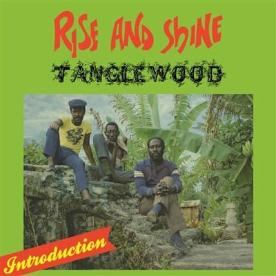 Tanglewood - Rise And Shine (LP)