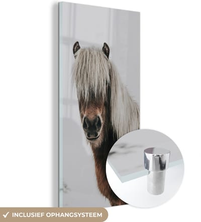 MuchoWow® Glasschilderij 60x120 cm - Schilderij acrylglas - Paarden - Dieren - Portret - Bruin - Wit - Foto op glas - Schilderijen