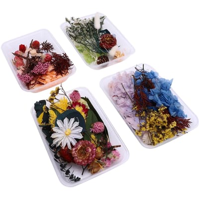4 Dozen Gedroogde Bloemen Schattig Elegant Levendige Kleuren Gedroogde Bloemen en Planten Set voor het Maken van Aromatherapie Kaars Waaier Foto gray