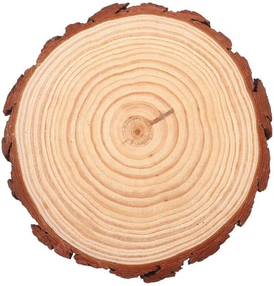 Houten Stapsteen - Ronde Houtsnipper - Tuinpad Aanleggen - Weerbestendig Natuurlijk Hout - 27 cm Diameter - Beige