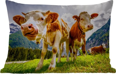 Buitenkussens - Koeien - Bergen - Gras - Landschap - Alpen - 60x40 cm - Weerbestendig