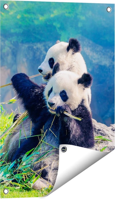 Gards Tuinposter Twee Panda's Eten Bamboe Riet - 40x60 cm - Tuindoek - Tuindecoratie - Wanddecoratie buiten - Tuinschilderij