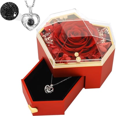 Echte Rozen in een Hartvormige Sieraaddoos met "Ik Hou van Jou" Ketting in 100 Talen, Perfect Cadeau voor Moeder, Vrouw of Valentijnsdag, Rode Rozenjuwelen