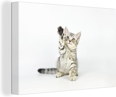 Canvas Schilderij Kitten - Poot - Wit - Meisjes - Kinderen - Jongens - Kind - 30x20 cm - Wanddecoratie