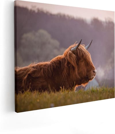 Artaza Canvas Schilderij Schotse Hooglander - 100x80 cm - Groot - Wanddecoratie Woonkamer - Muurdecoratie Dieren - Schilderijen Op Canvas