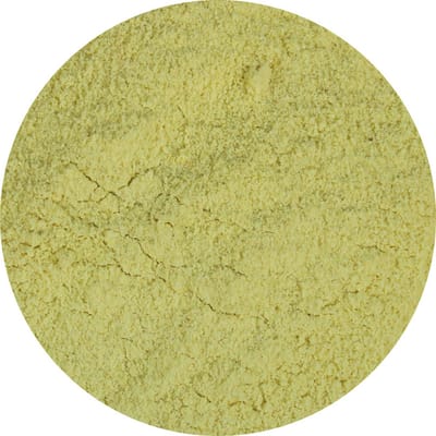 Van Beekum Specerijen - Cheese Onion Seasoning - 20 KG - Zak (bulk verpakking)