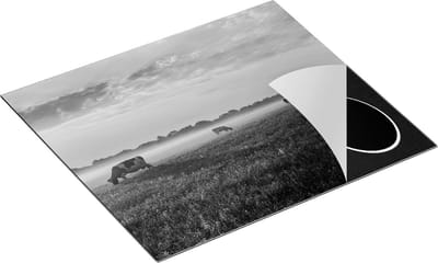 Chefcare Inductie Beschermer Koeien in de Wei tijdens Zonsopkomst - Zwart Wit - 60x50 cm - Afdekplaat Inductie - Kookplaat Beschermer - Inductie Mat