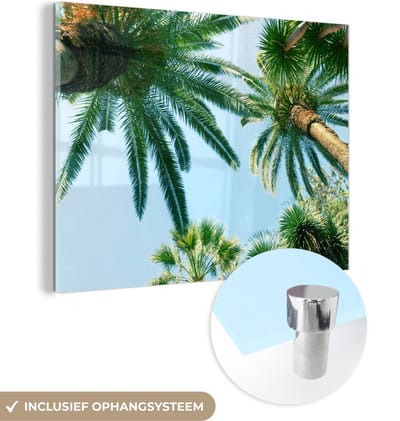 MuchoWow® Glasschilderij 40x30 cm - Schilderij acrylglas - Palmbladeren - Lucht - Zomer - Tropisch - Foto op glas - Schilderijen