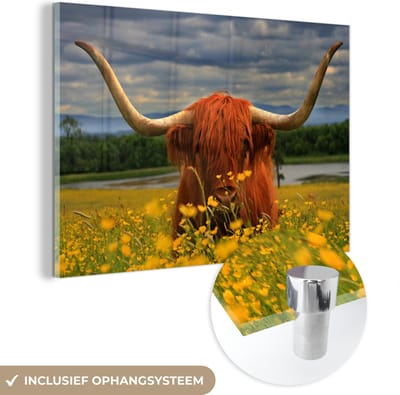 MuchoWow® Glasschilderij 120x80 cm - Schilderij acrylglas - Schotse Hooglander - Dieren - Bloemen - Foto op glas - Schilderijen