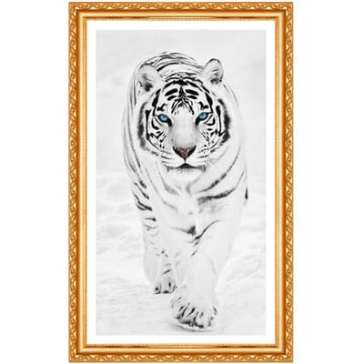 Diamant schilderij diamant borduurwerk verkoop dier 5D DIY diamant schilderij tijger kruissteek foto 20X30CM white